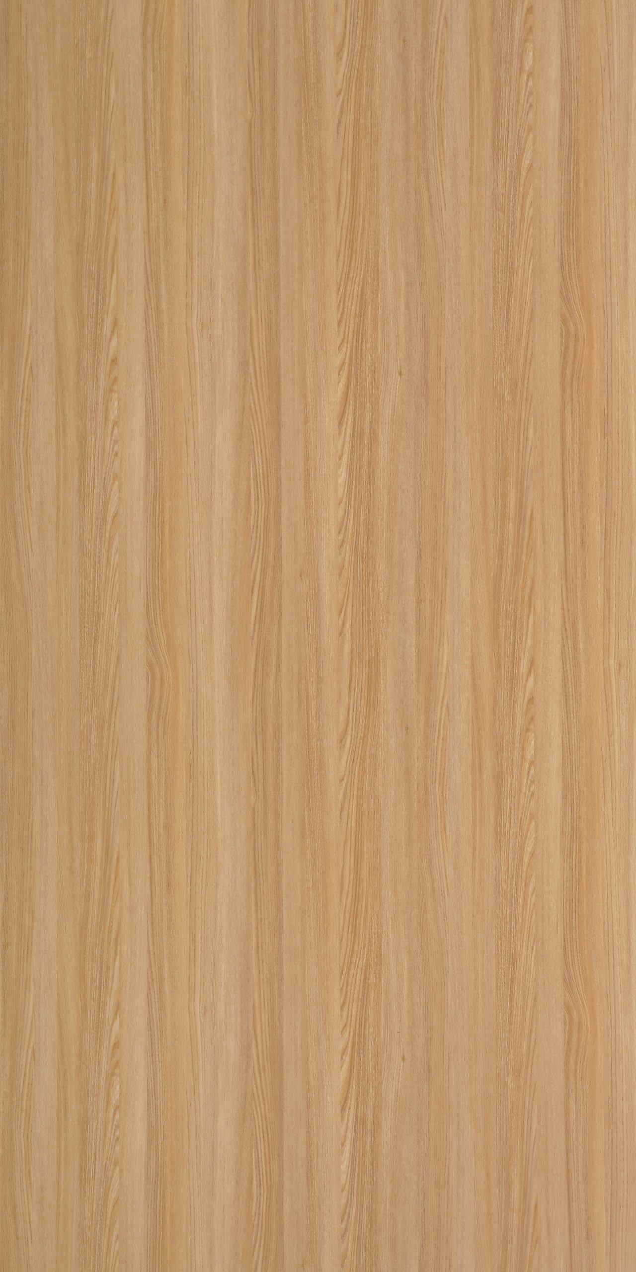 DW 33006 VARESE ASH scaled 1.jpg