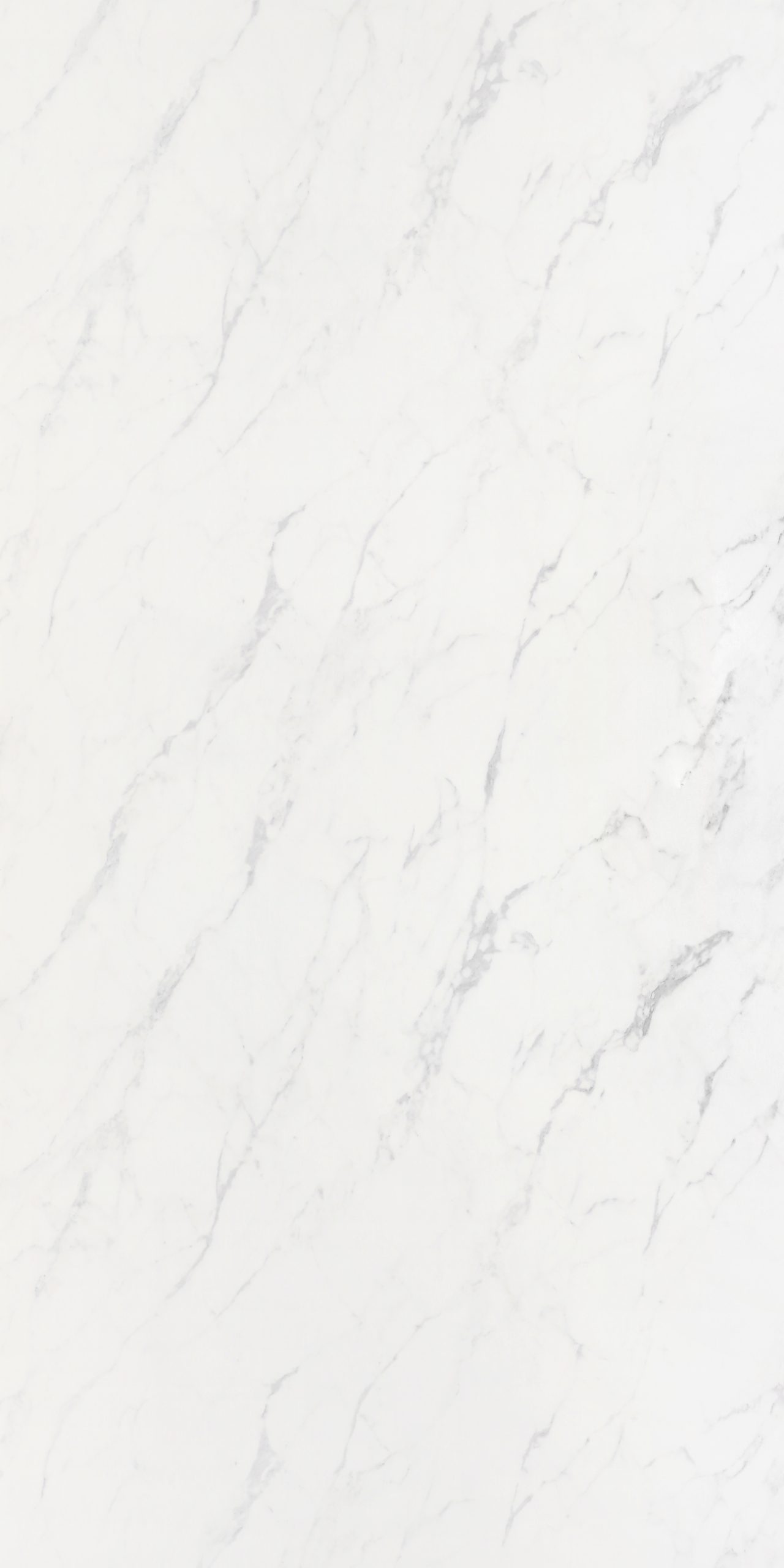 DW 33017 BLANCO CARRARA scaled 1.jpg