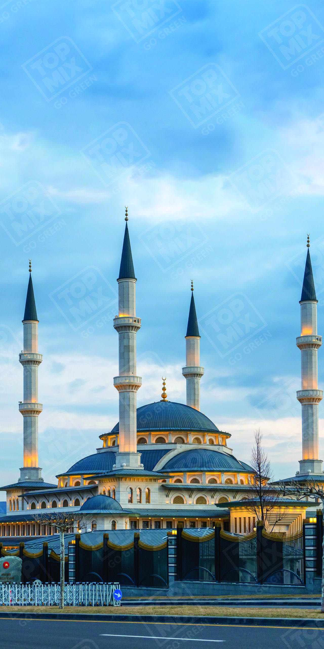 MS 027 WITH WATERMARK 2 X 4 scaled 1.jpg