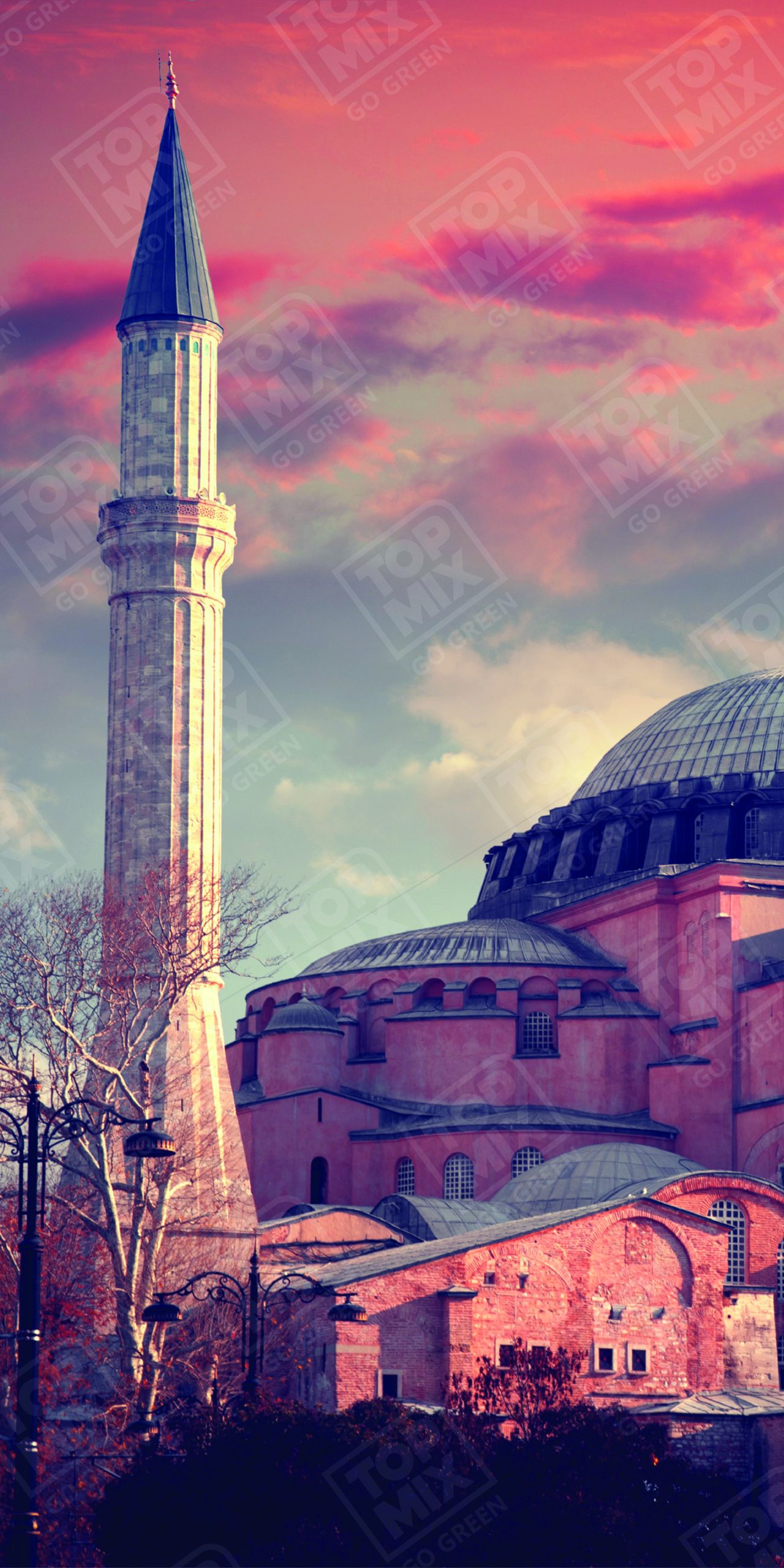 MS 031 WITH WATERMARK 2 X 4 scaled 1.jpg