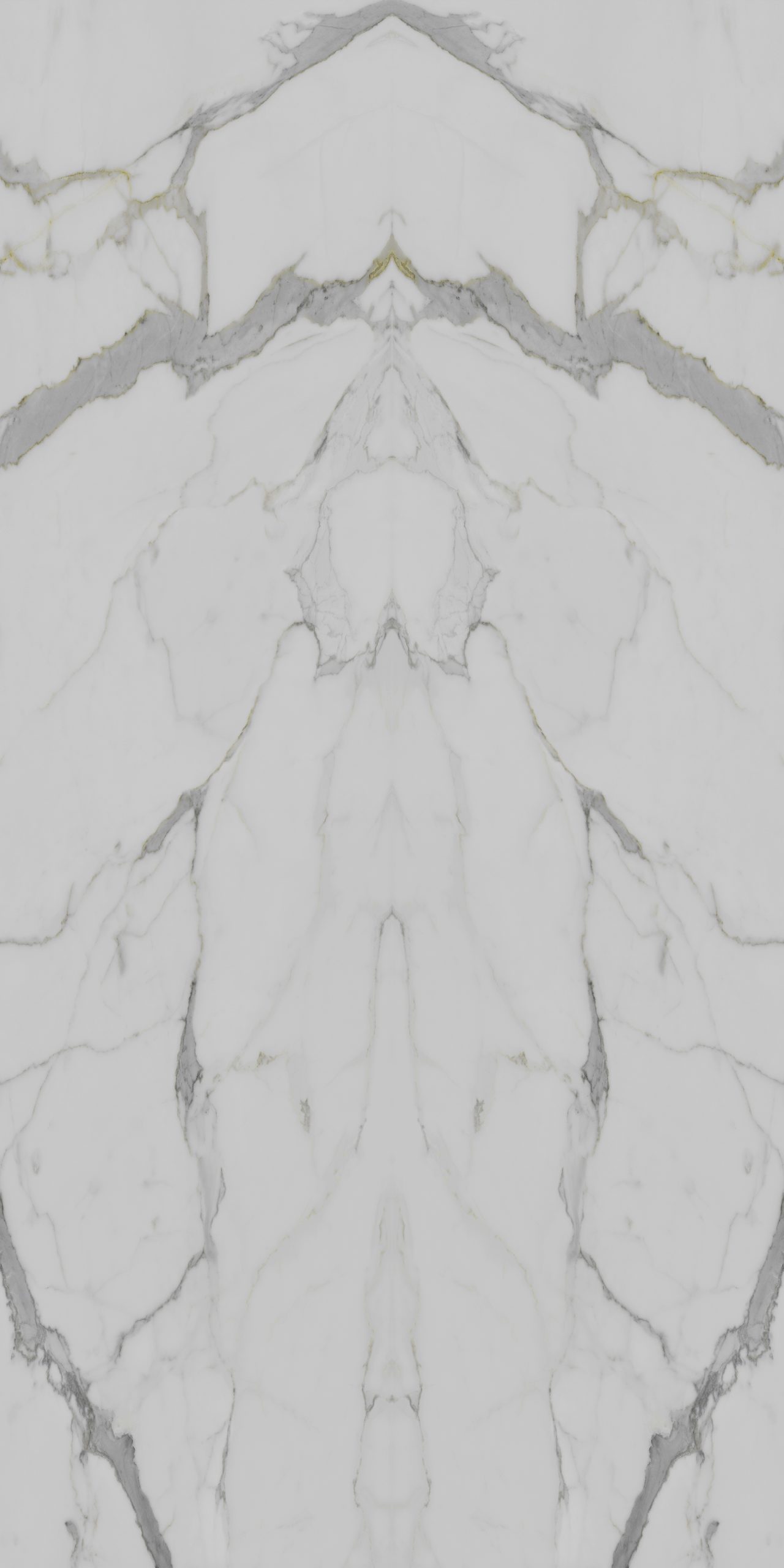 TB3 3353 M VILA NOVA scaled 1.jpg