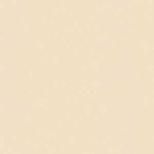 TG1 5507 G BEIGE GALAXY scaled 1.jpg