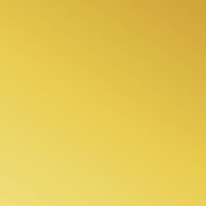 TM5 9000 GOLD MIRROR scaled 1.jpg