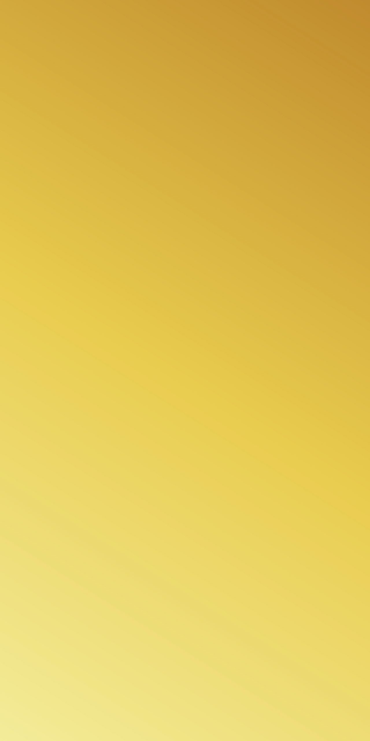 TM5 9000 GOLD MIRROR scaled 1.jpg