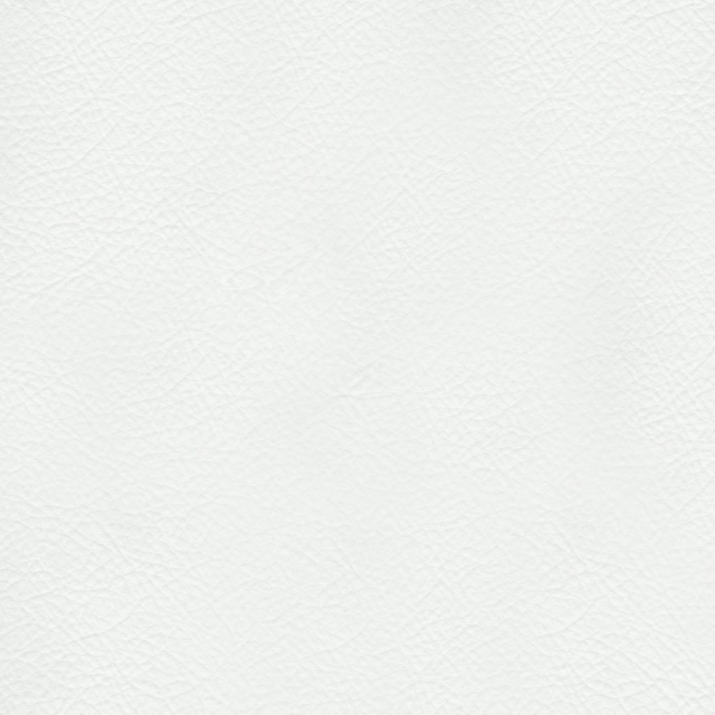 TP3 8801 NL WHITE LEATHER scaled 1.jpg