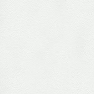 TP3 8801 NL WHITE LEATHER scaled 1.jpg