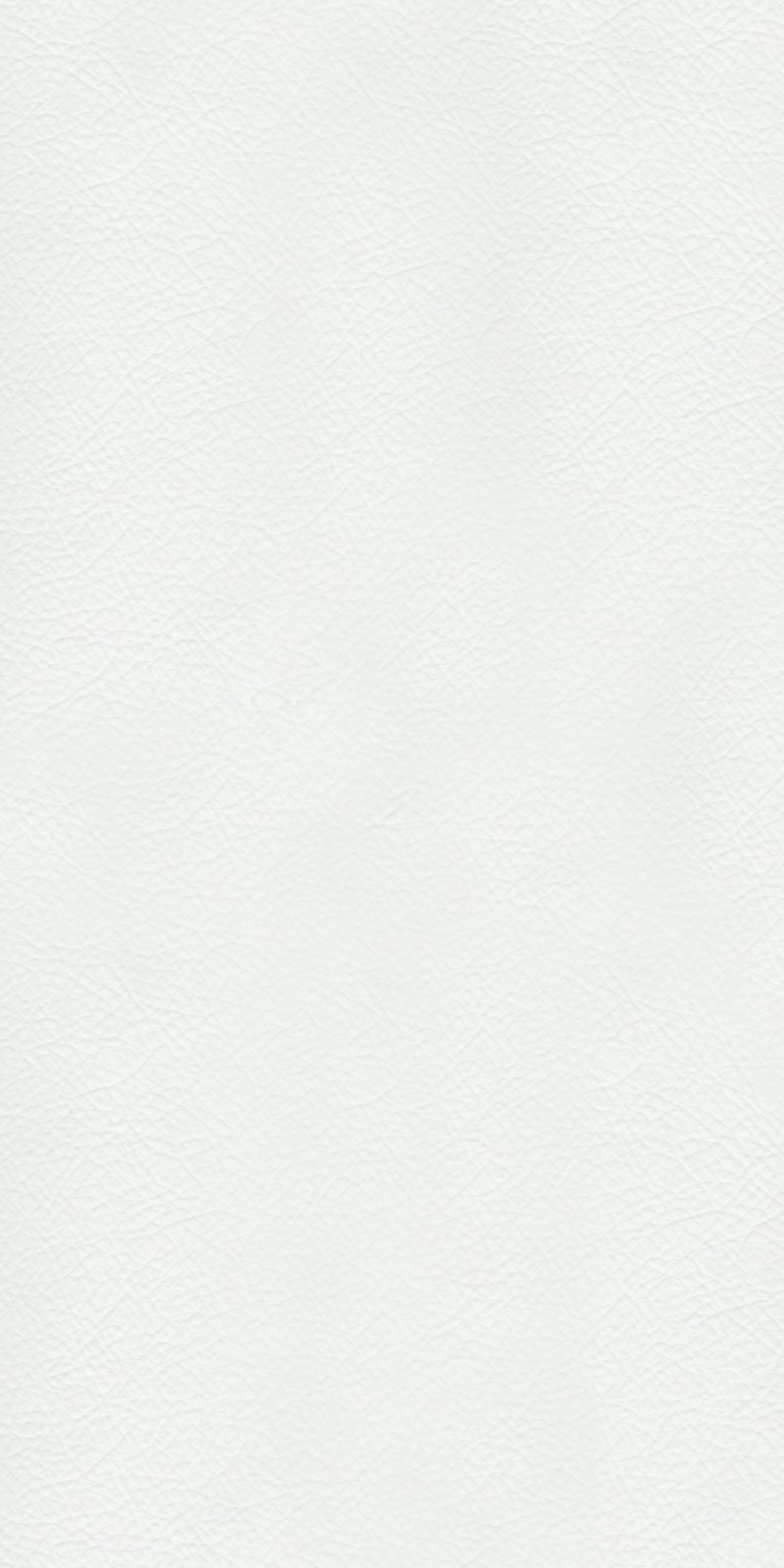 TP3 8801 NL WHITE LEATHER scaled 1.jpg