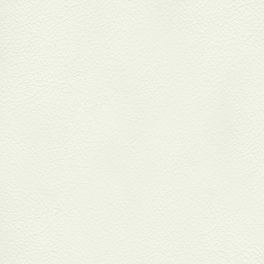 TP3 8802 NL BEIGE LEATHER scaled 1.jpg