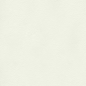 TP3 8802 NL BEIGE LEATHER scaled 1.jpg