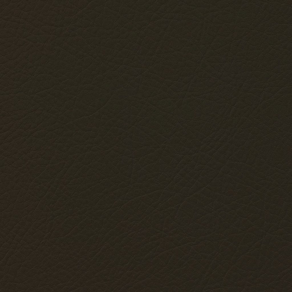 TP3 8803 NL COCO LEATHER scaled 1.jpg