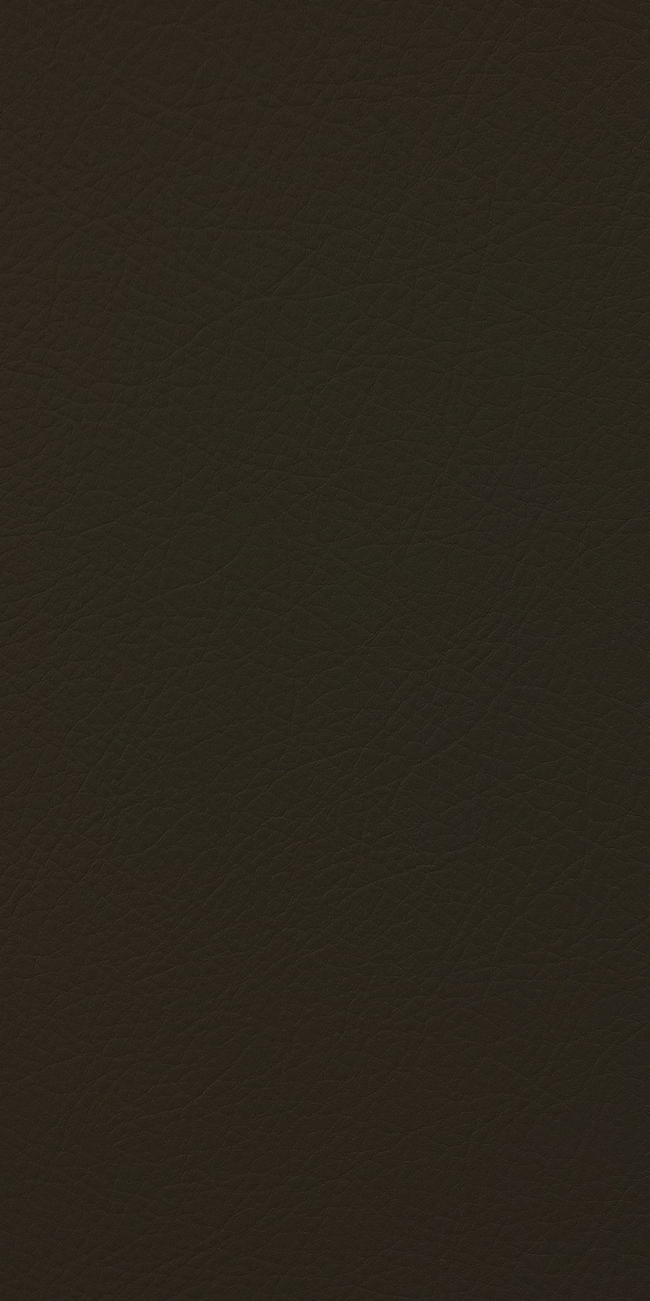 TP3 8803 NL COCO LEATHER scaled 1.jpg