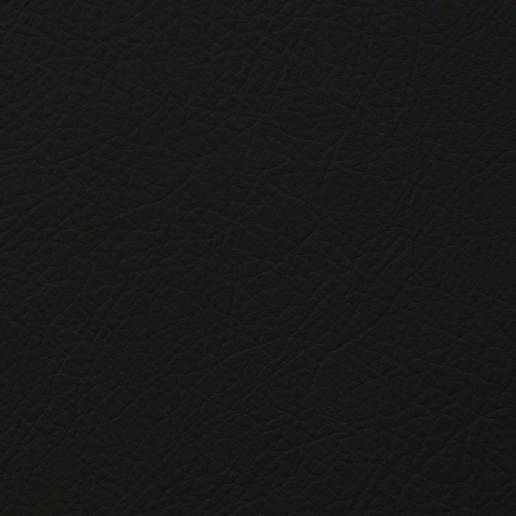 TP3 8808 NL BLACK LEATHER scaled 1.jpg