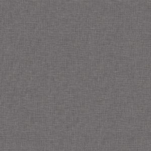 TP6 3885 VM DARK LINE CLOTH scaled 1.jpg