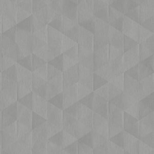 TP6 3895 VM SILVER VECTOR 2X4.jpg