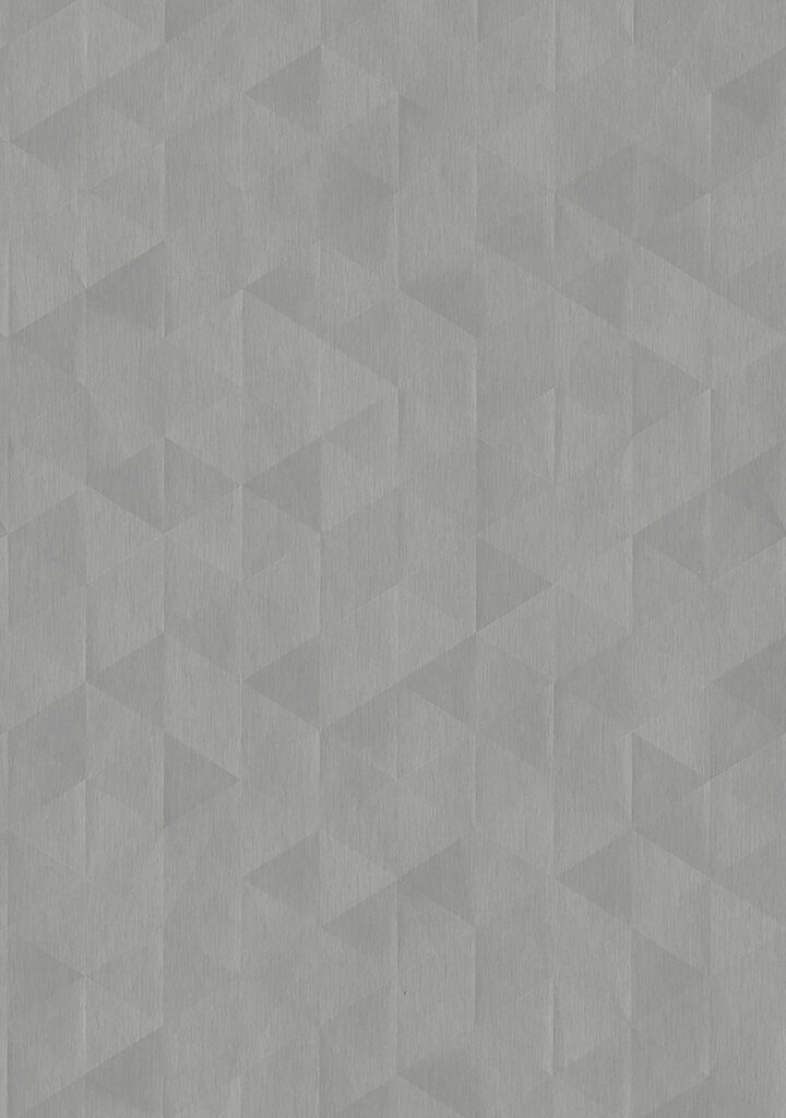 TP6 3895 VM SILVER VECTOR 2X4.jpg