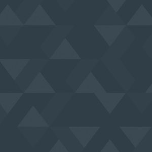 TP6 3896 VM NAVY VECTOR 2X4.jpg