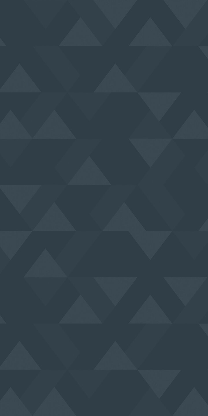 TP6 3896 VM NAVY VECTOR 2X4.jpg