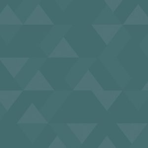 TP6 3897 VM TURQUOISE VECTOR 2X4.jpg