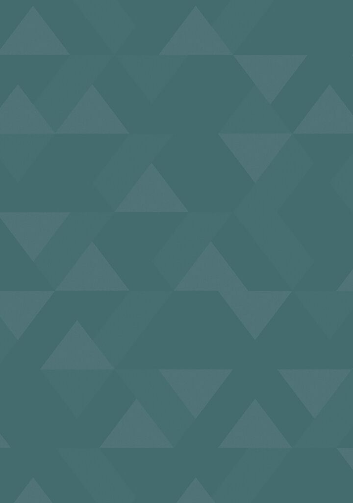 TP6 3897 VM TURQUOISE VECTOR 2X4.jpg