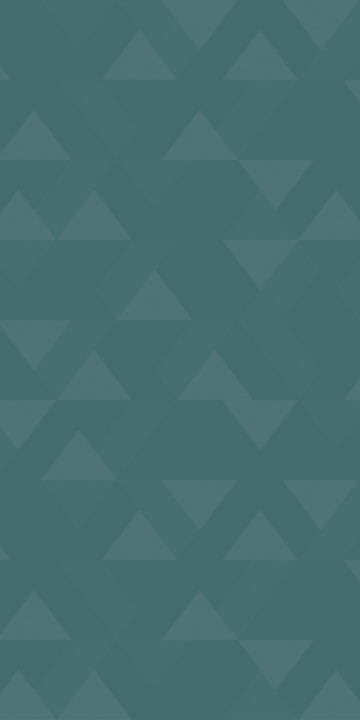 TP6 3897 VM TURQUOISE VECTOR 2X4.jpg