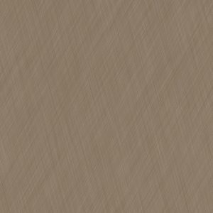 TP6 8812 CW AMERICAN DREAM scaled 1.jpg