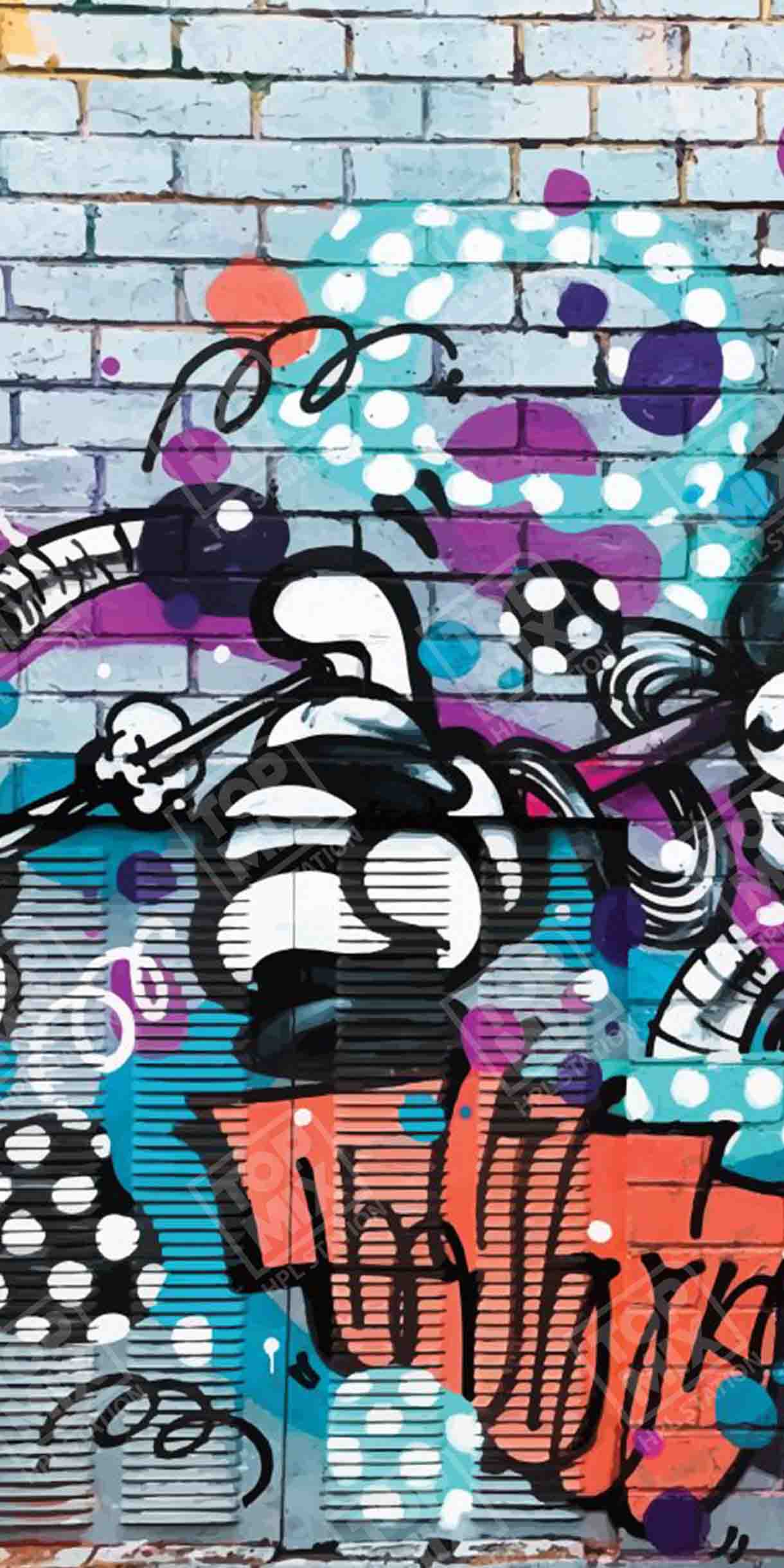 TPX 0005 STREET GRAFITI SERIES 512x1024 1.jpg