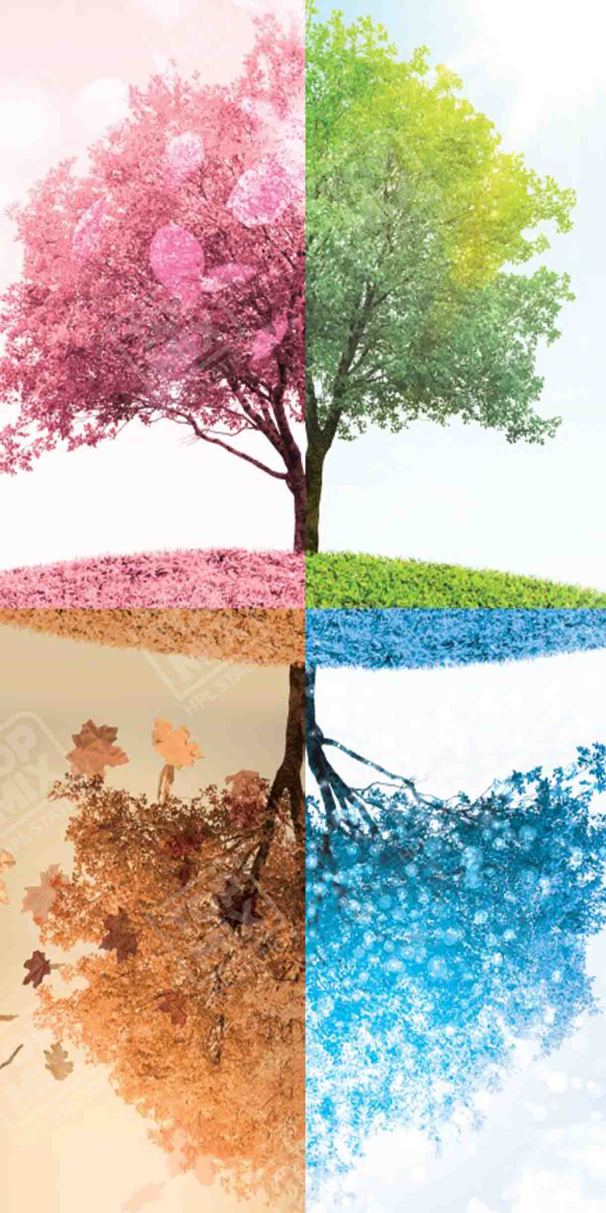 TPX Design 0501 Jungle Series.jpg