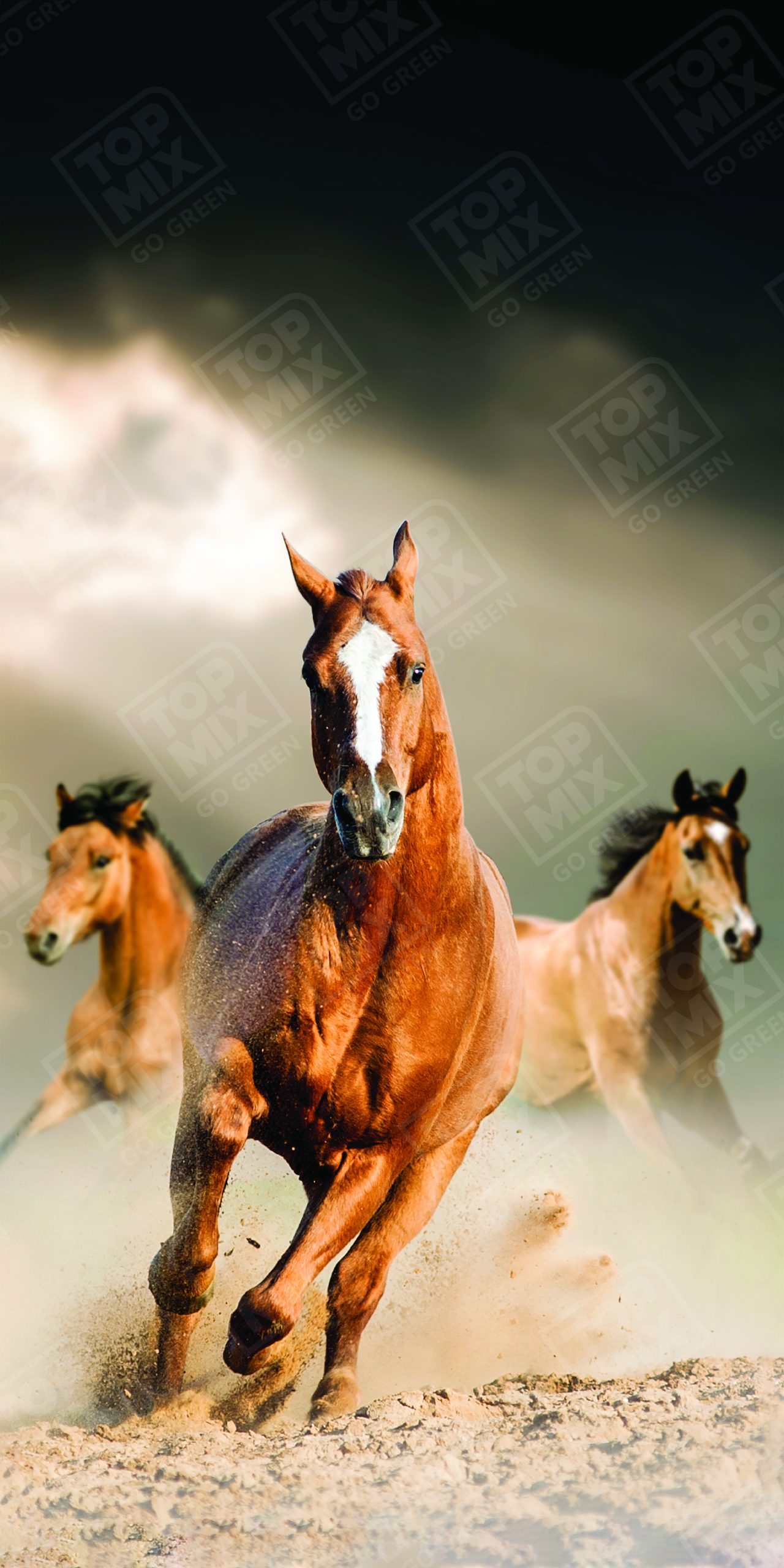 TPX0059 WITH WATERMARK 2 X 4 scaled 1.jpg