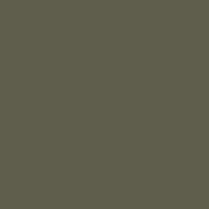 TS10 51258 VM PINE NUT.jpg