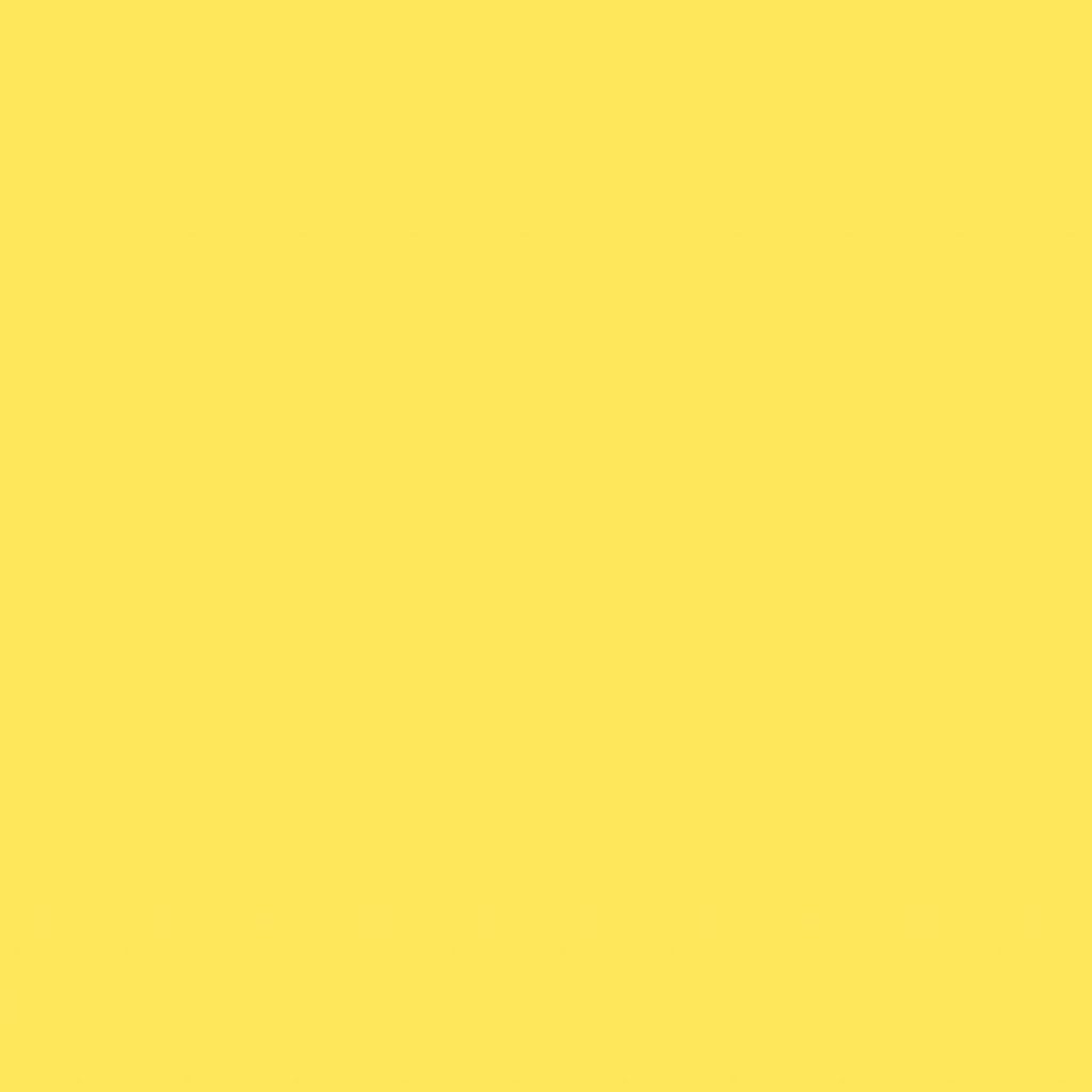 TS3 1021 SUNFLOWER scaled 1.jpg