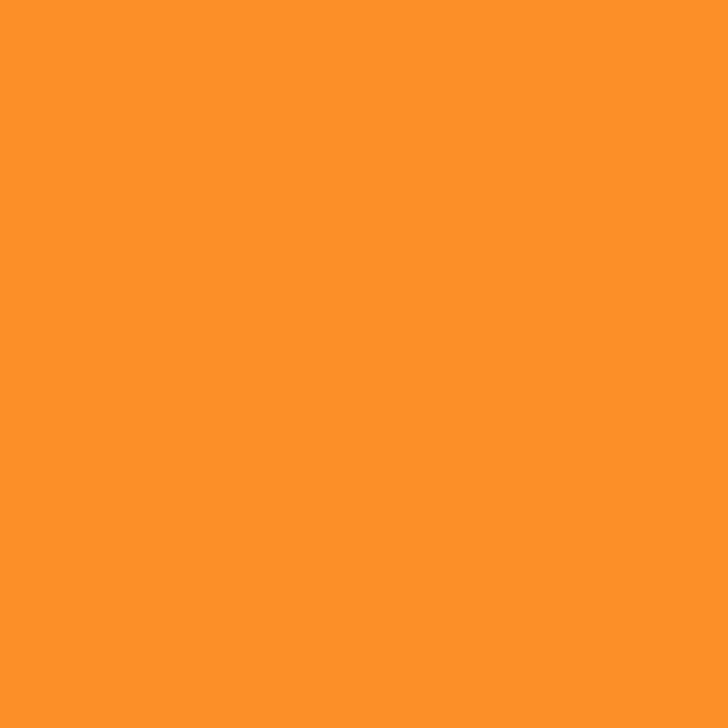 TS3 1022 SUNNY scaled 1.jpg