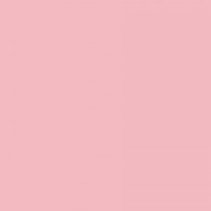 TS3 1025 ROSE PINK scaled 1.jpg