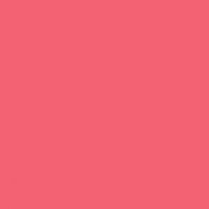 TS3 1026 PINK scaled 1.jpg