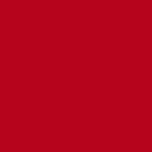 TS3 1028 RED scaled 1.jpg