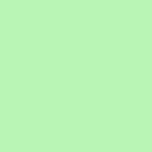 TS3 1029 STAR GREEN 1 scaled 1.jpg
