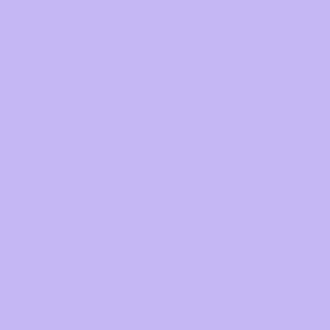 TS3 1051 PURPLE scaled 1.jpg