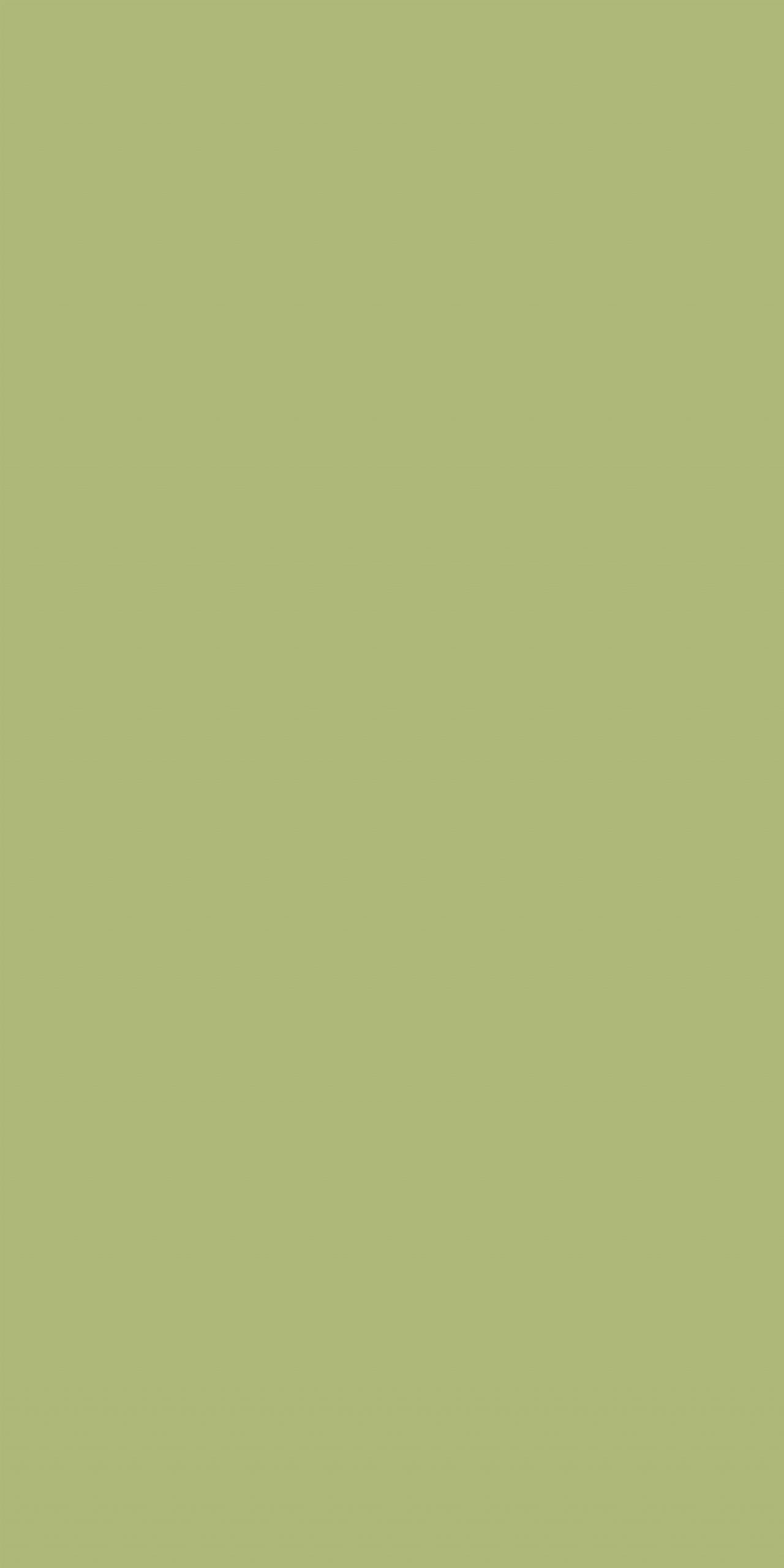TS4 1209 SURF GREEN 1 scaled 1.jpg