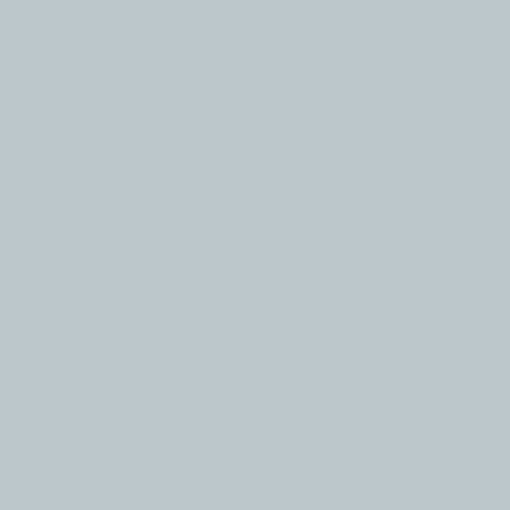 TS4 1223 GAINSBORO GREY 1 scaled 1.jpg