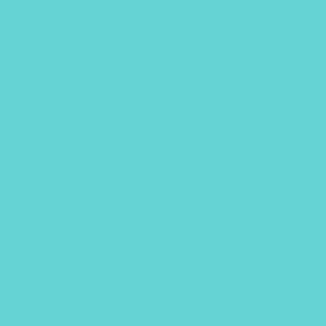 TS4 1225 TIFFANY BLUE scaled 1.jpg