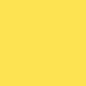 TS6 5016G YELLOW scaled 1.jpg