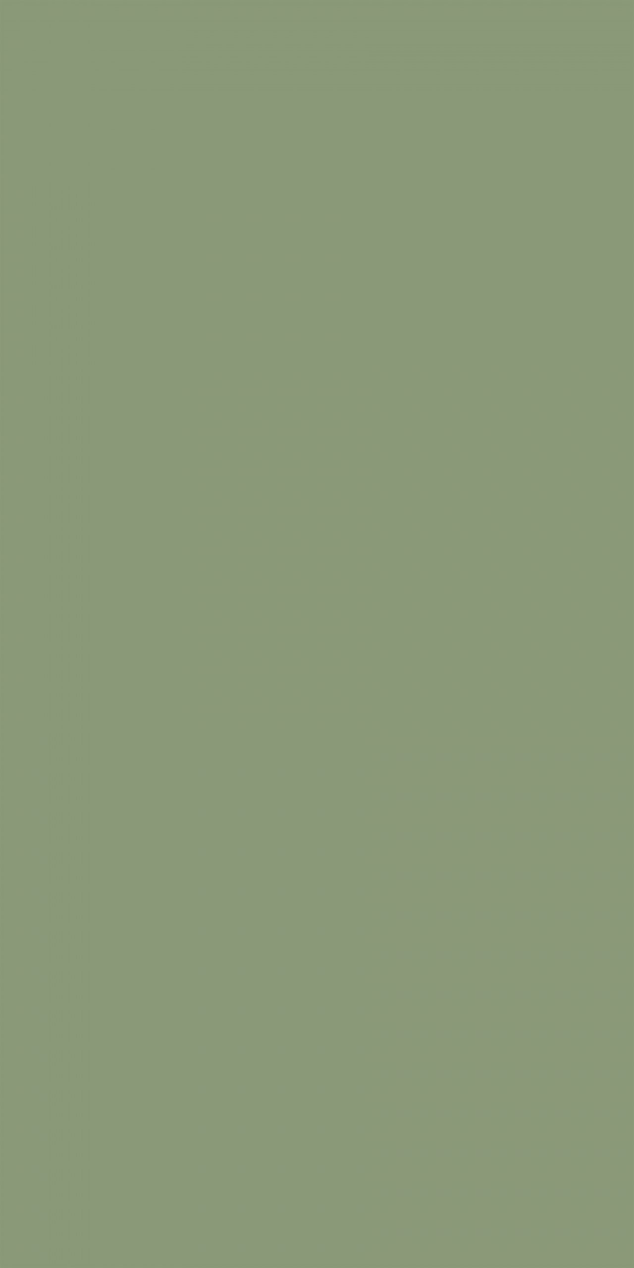 TS6 5017G OLIVE GREEN scaled 1.jpg