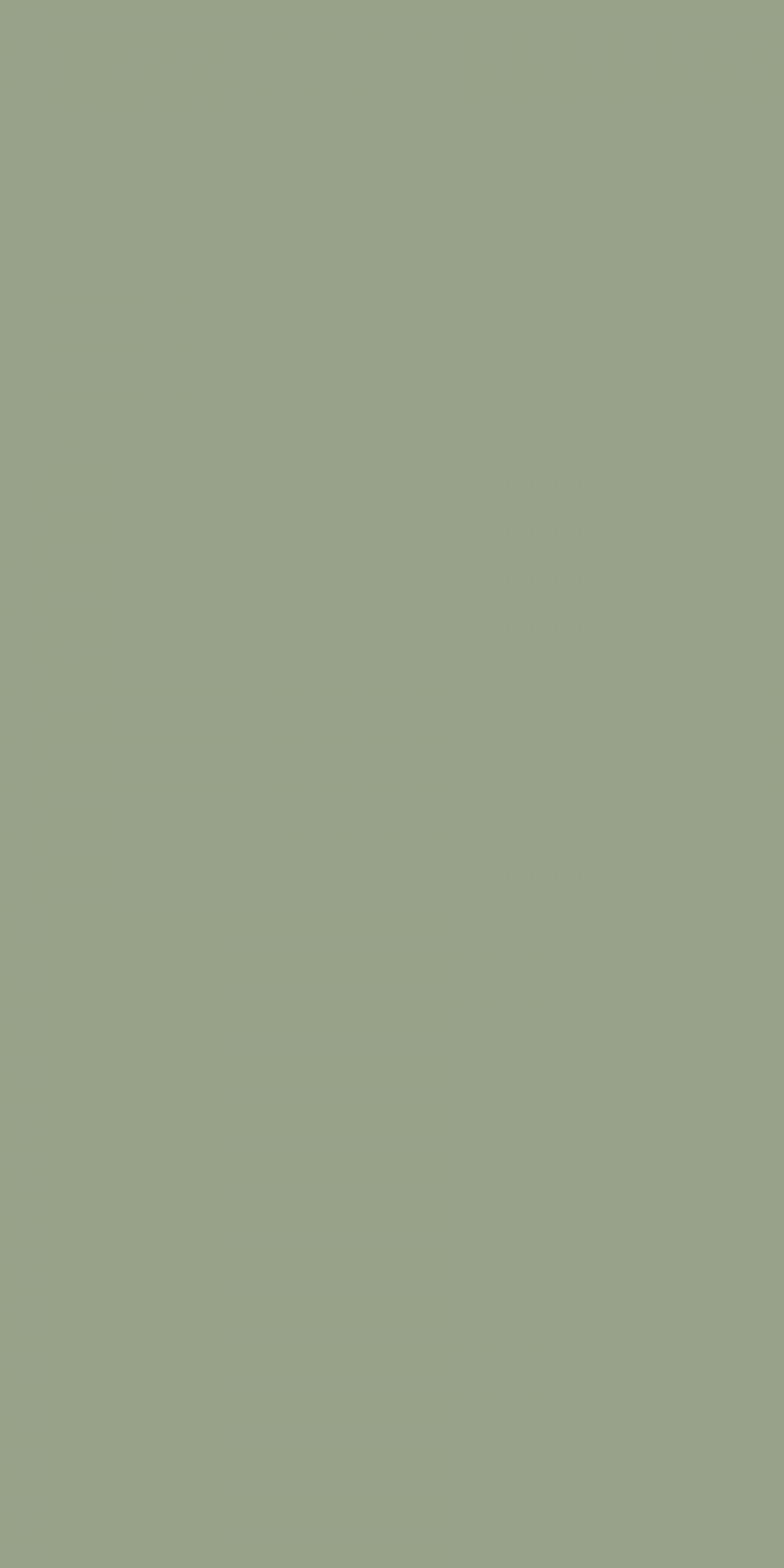 TS8 1232 VM OLIVE GREEN scaled 1.jpg