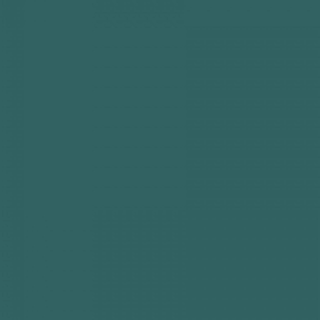 TS8 1238 VM FOREST GREEN scaled 1.jpg