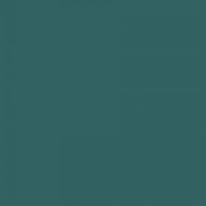TS8 1238 VM FOREST GREEN scaled 1.jpg