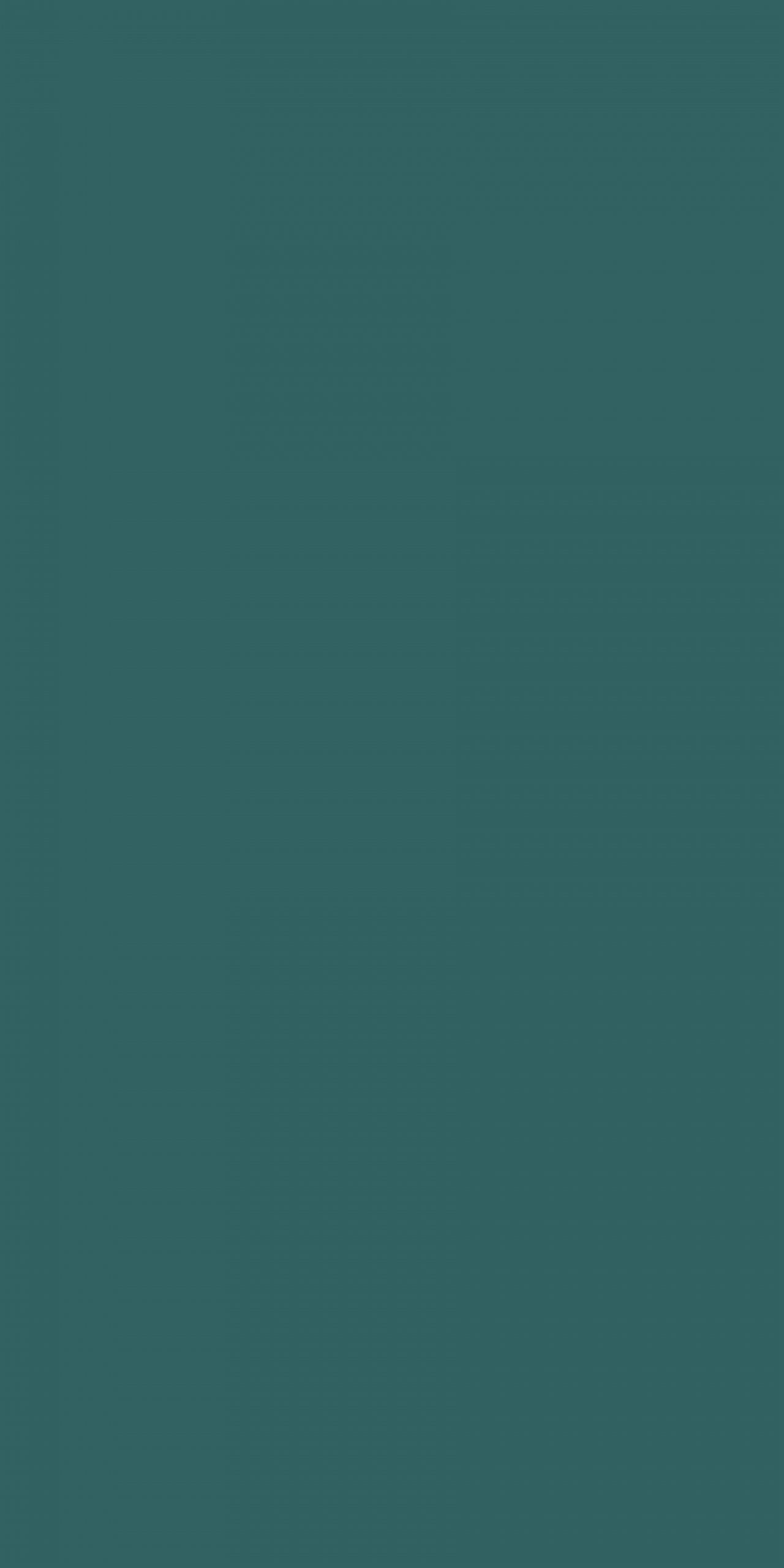 TS8 1238 VM FOREST GREEN scaled 1.jpg