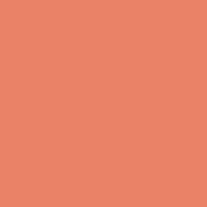 TS8 1260 VM CORAL.jpg