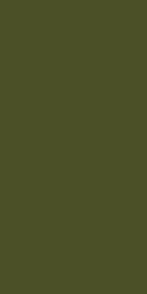 TS8 1268 VM OLIVE DRAB.jpg