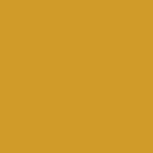 TS8 1272 VM APRICOT.jpg