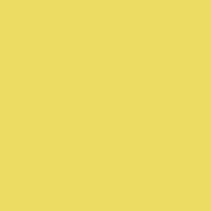 TS8 1277 VM MUSTARD.jpg