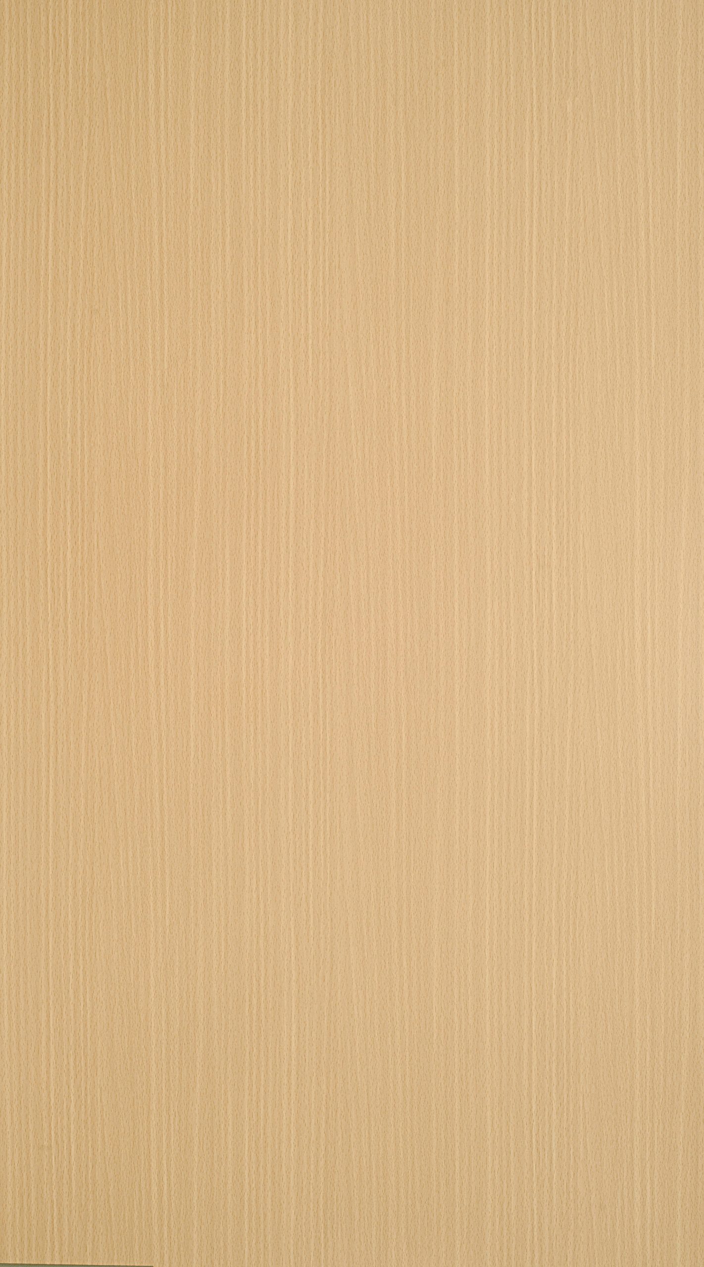 TW1 1183 INTAL BEECH 1 scaled 1.jpg